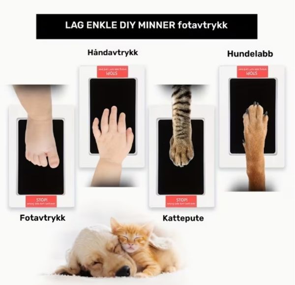 Hovedbilde Avtrykks-pute, rosa