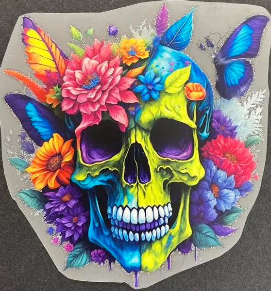 Hovedbilde Skull - 14