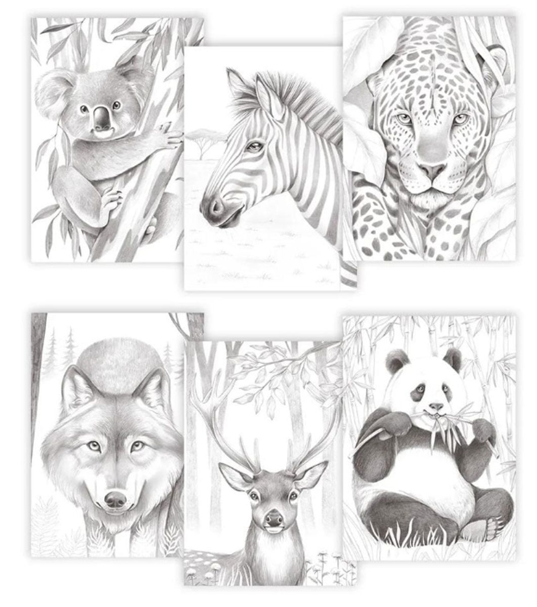 Clairefontaine Odelia Fargeleggingsbok A4 – Animals